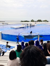 風船飛ばし