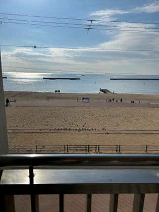 ベランダ越しに見える穏やかな砂浜と海辺の景色