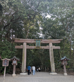鬱蒼とした木々に囲まれた神社の木製鳥居と参道を歩く人々
