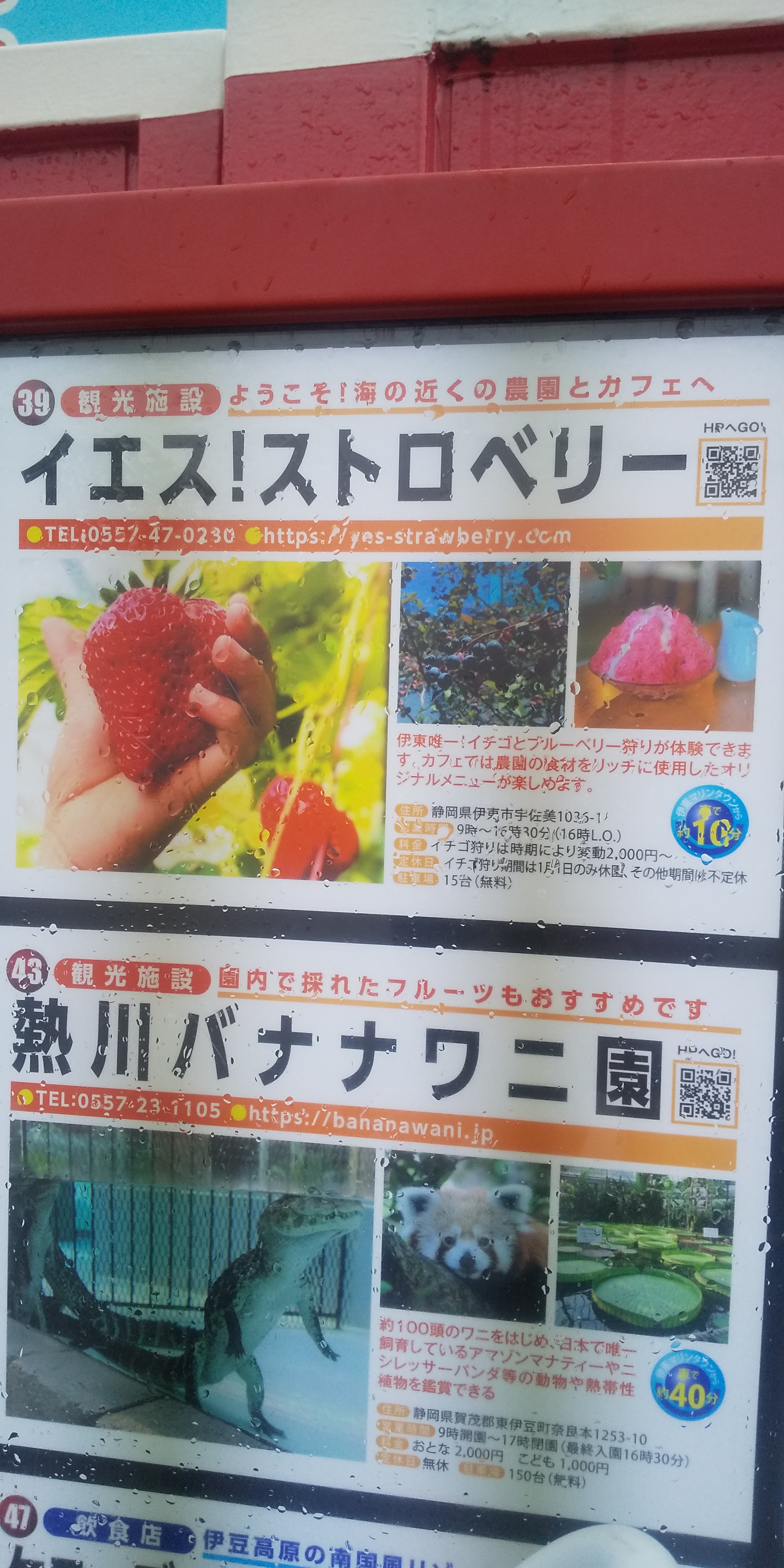 熱川バナナワニ園