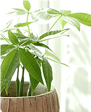 ビジネスミーティング　写真