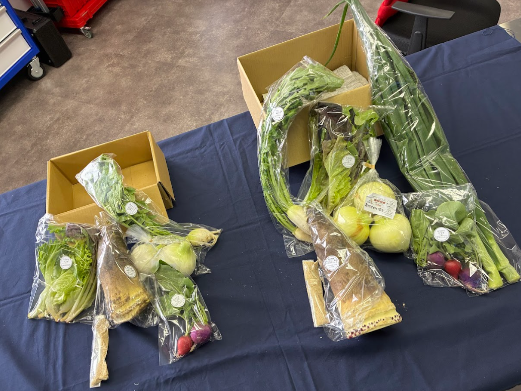 テーブルの上に並べられた、タケノコ、ネギ、新タマネギなどビニール袋に入った新鮮な野菜のセット